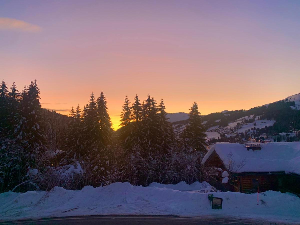Chalet Le Renard Du Lac เลส์เฌต์ ภายนอก รูปภาพ